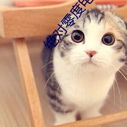 絕對零度電影免費觀看完整