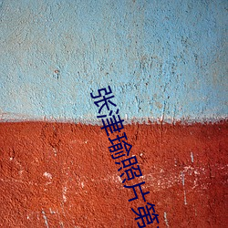 张津(jīn)瑜照(zhào)片第二(èr)部哪里下载