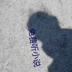 免(miǎn)费听小(xiǎo)说