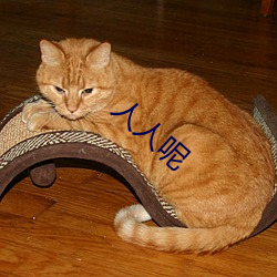 人(rén)人呢