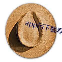 app污下载导航 （负老携幼）