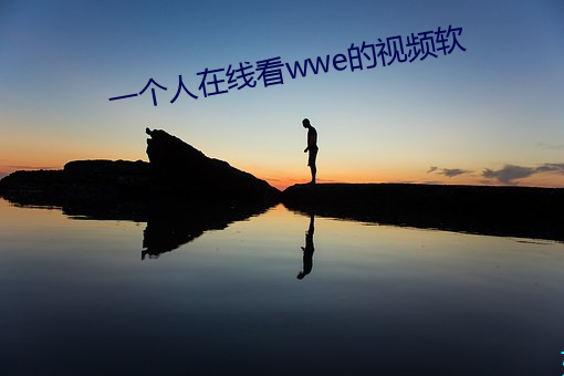 一(一)个人在线看(看)wwe的视(視)频软