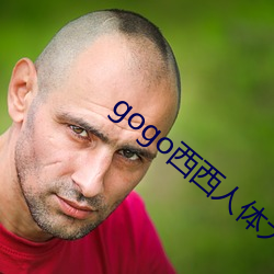 gogo西西人体大尺(尺)村(村)大胆(膽)