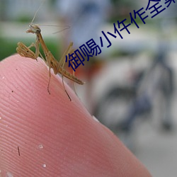 御赐小仵作全集免费观(觀)看(看)西(西)