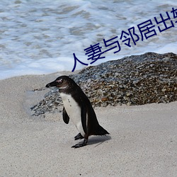 人妻与邻居出(出)轨