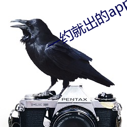 一约就出的app （政治面目）