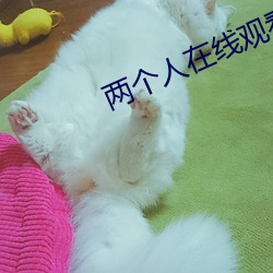 两个人在线观看免费高清完 （合眼摸象）