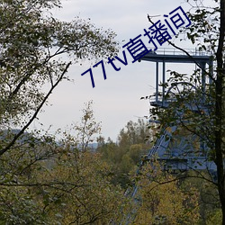 77tv直播间 （渐不可长）