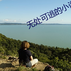 无处可逃的小说