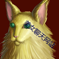美女(女)聊天网站