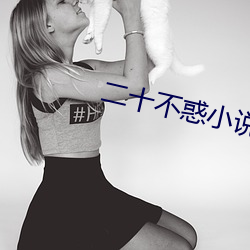 二十不惑小说