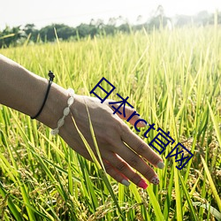金年会 | 诚信至上金字招牌