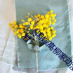 《肉嫁高柳家動漫在線觀看》全集免費在線觀看