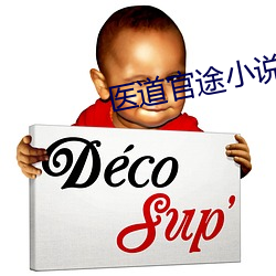 医道官途小说