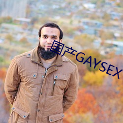 (chn)GAYSEX