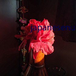 japanesenursehd本