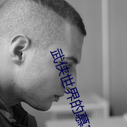 武侠(俠)世界的慕(慕)容复