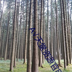 А√天堂资源官网在线种子