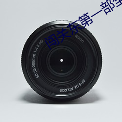 闯关东第一部全集 （烂熳天真）