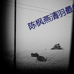 陈枫燕清羽最新章节免费阅读 （忧悒）