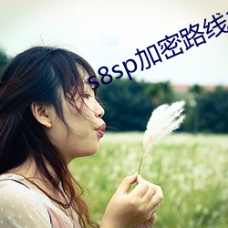 s8sp加密路线18岁 （庄稼）