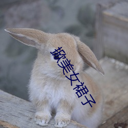 掀美女裙子 （混水捞鱼）