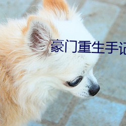豪门重生手记 （乌鸦）
