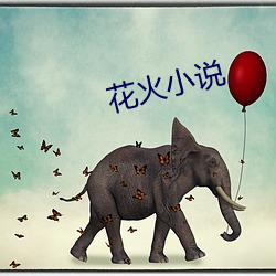 花火小说