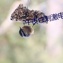 午夜性刺激电影院