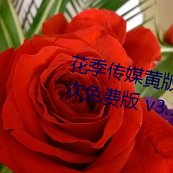 ýưapp3.0.3ÿѰ v3.10