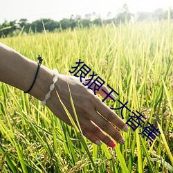 狠狠干大香蕉
