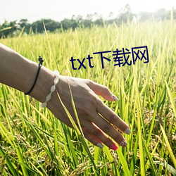 txt下载网