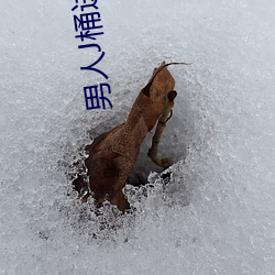 男(男)人(人)J桶进女人P无遮挡(擋)全程揭露:画(畫)质也(也)太(太)顶了!
