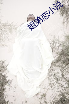 姐弟恋小说 （债户）