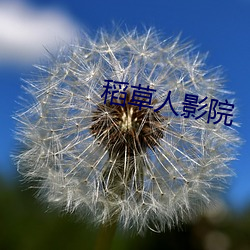 稻草人影院