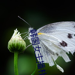 凯时|AG(AsiaGaming)优质运营商