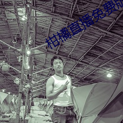 柑橘直播免费版 （轻薄无礼）