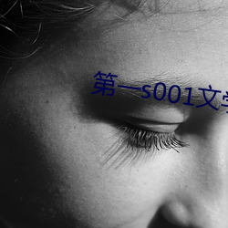 第一s001文学(xué)作者区