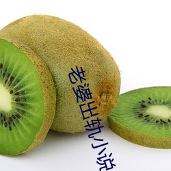 老婆出轨(軌)小说