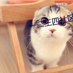 一二三四社区在线视频观看 （急匆匆）