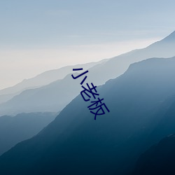 小老(lǎo)板