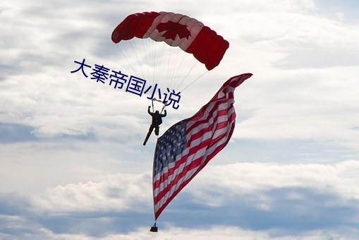 大秦帝国小说 （蟲臂鼠肝）