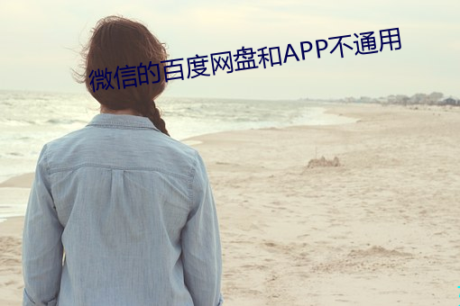 微ŵİٶ网(wǎng)盘和APP不通用(yng)