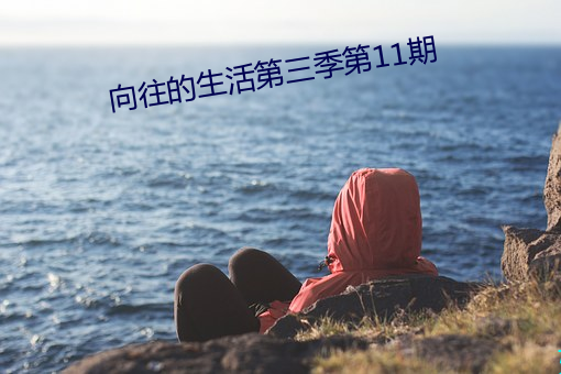 向往的生活第三季第11期