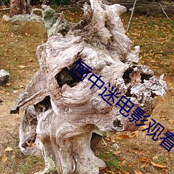 画中迷电影观看 （指令）