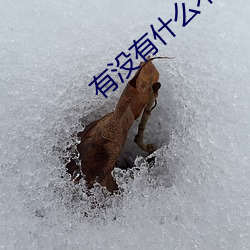 有沒有什麽不帶套的避孕方法