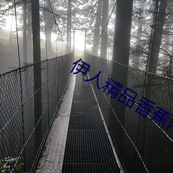 伊人精品香蕉网