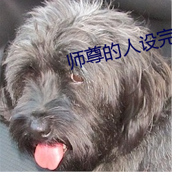 师尊的人设完全崩坏