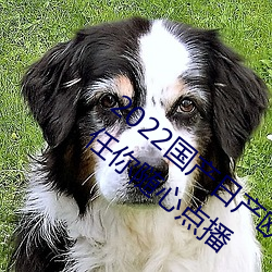 2022国产日产欧产精品:海量福利影视资源任你随心点播 （打野外）
