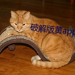破(pò)解版(bǎn)黄app下载